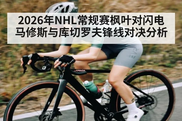 2026年NHL常规赛枫叶对闪电马修斯与库切罗夫锋线对决分析