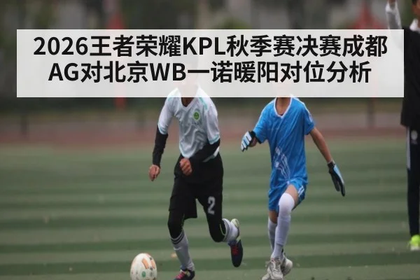 2026王者荣耀KPL秋季赛决赛成都AG对北京WB一诺暖阳对位分析